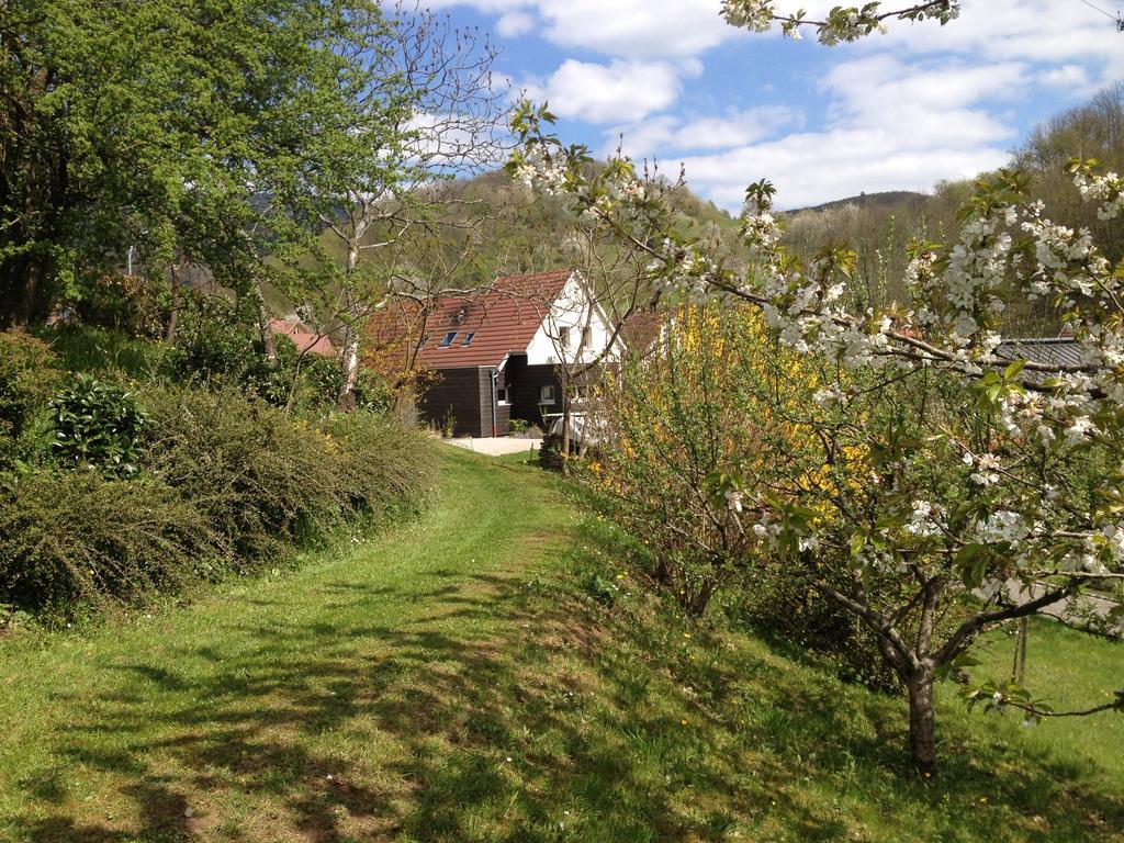 Gite Bellevue Breitenbach Rum bild