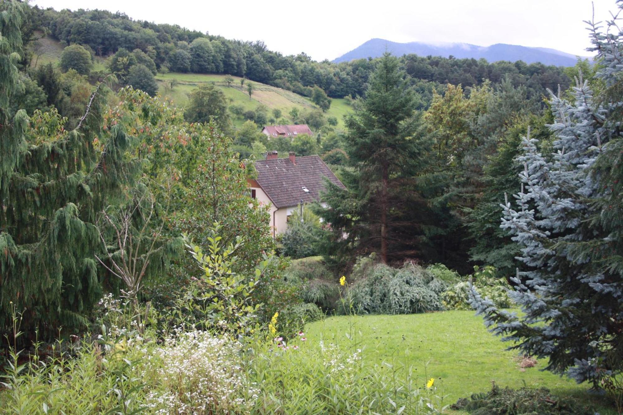 Gite Bellevue Breitenbach Exteriör bild